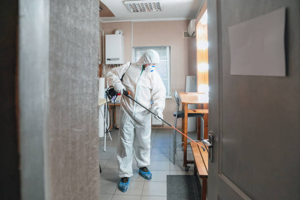 Best Environmental Consulting for Mold Prevention  in Powell, WY